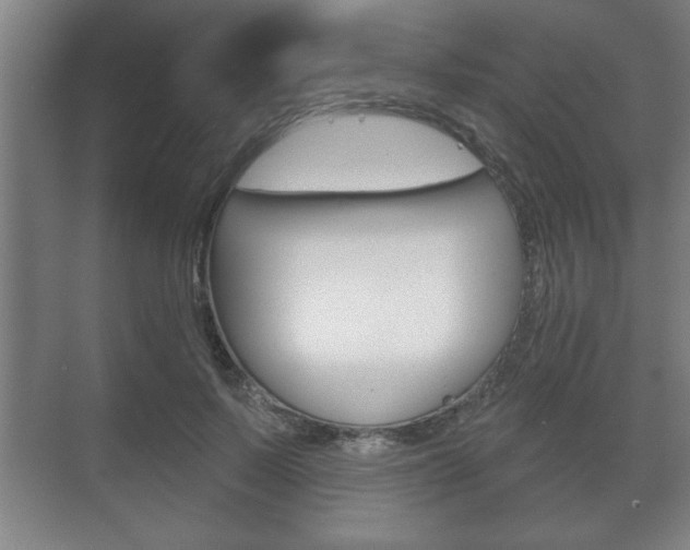 X0000072490695200607140911