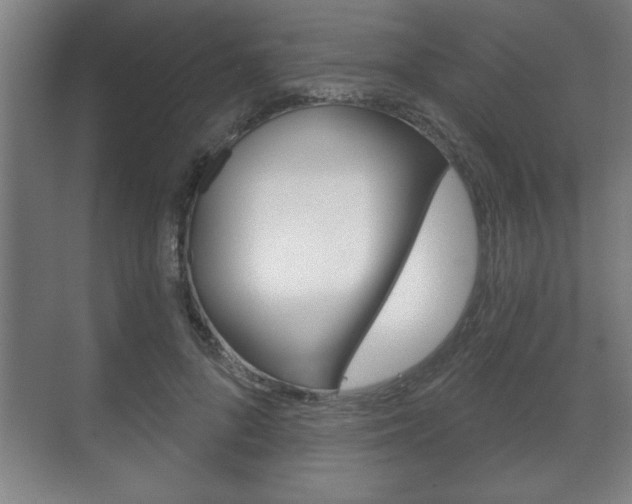 X0000072490696200607140911