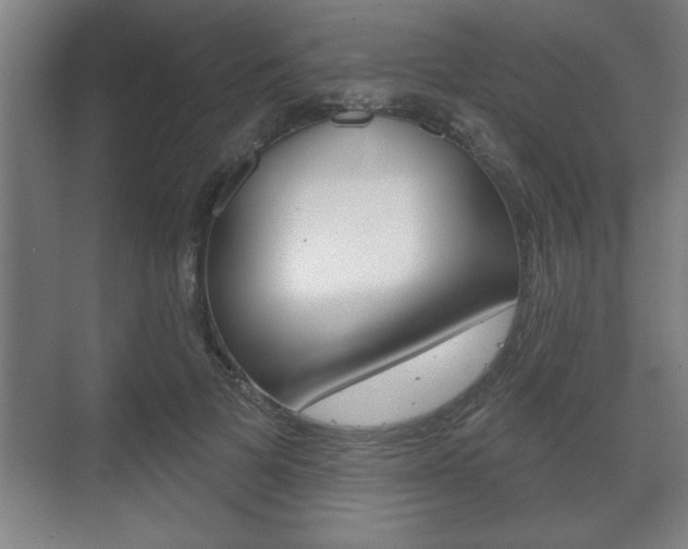 X0000072490697200607140911