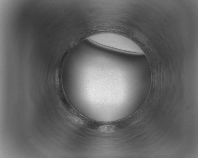 X0000072490700200607140911