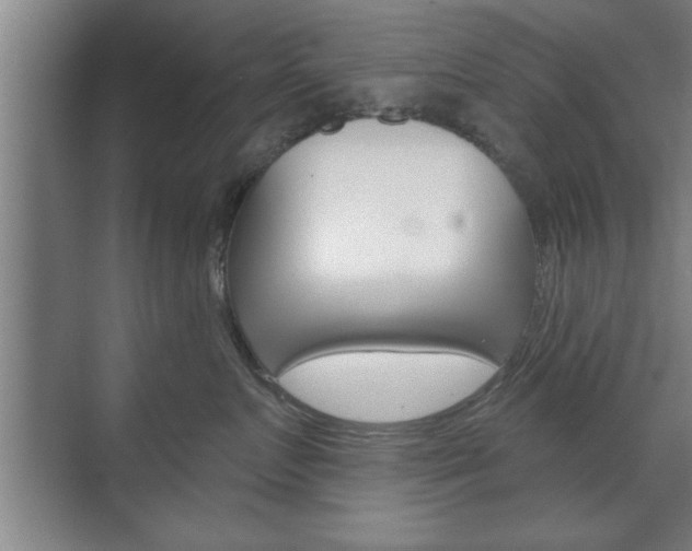 X0000072490719200607140910