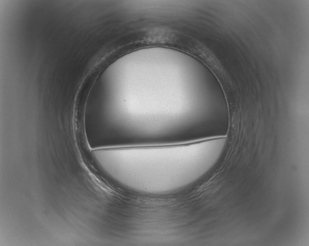 X0000072490722200607140909