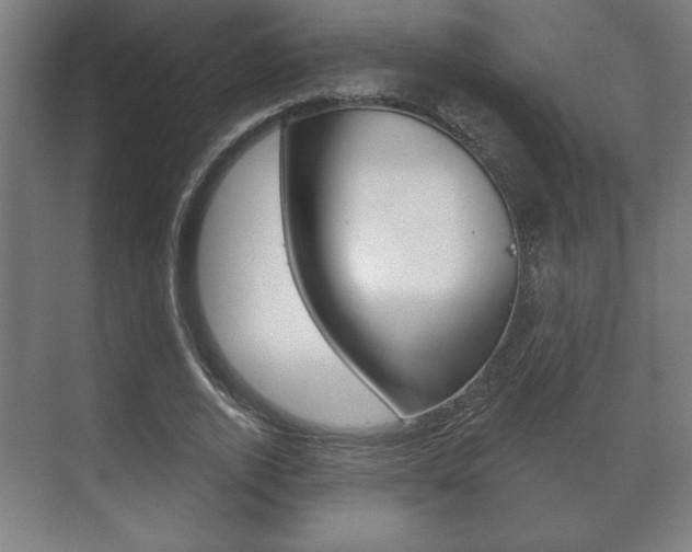 X0000072490728200607140910