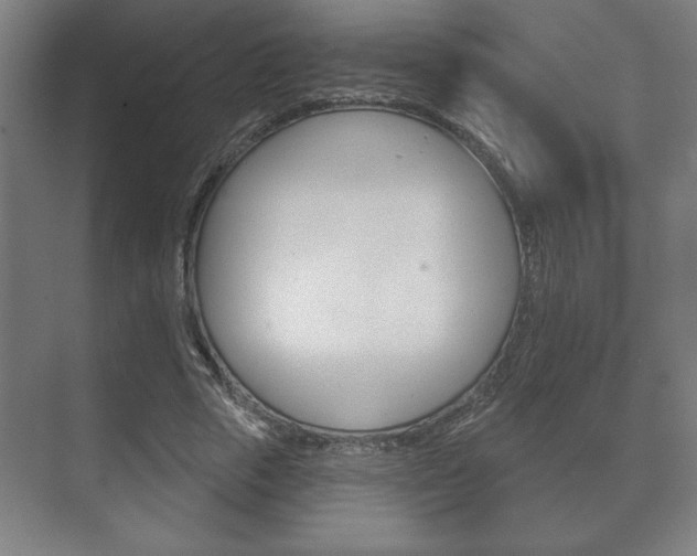 X0000072490729200607140910