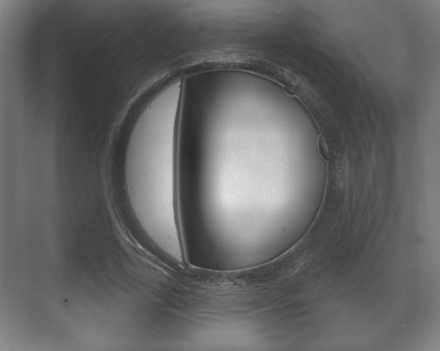 X0000072490731200607140910