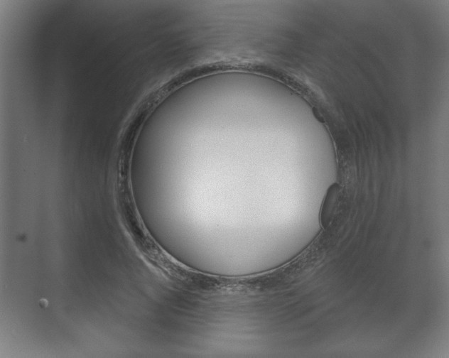 X0000072490736200607140910
