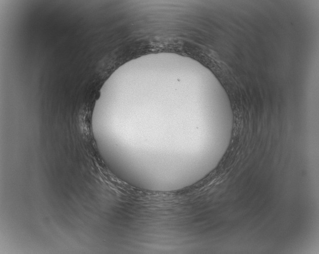 X0000072490770200607140909