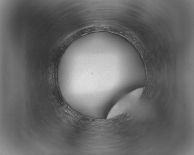 X0000072490773200607140909