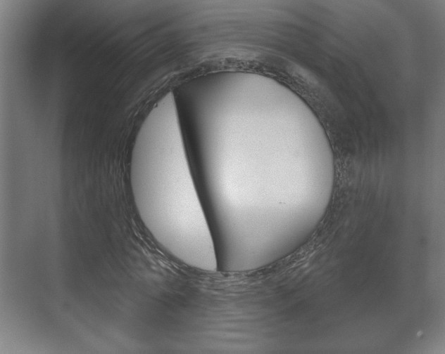 X0000072490774200607140909