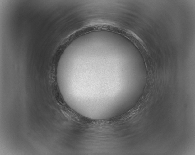 X0000072490775200607140909