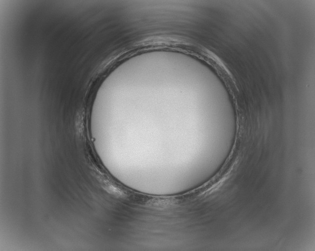 X0000072490778200607140909