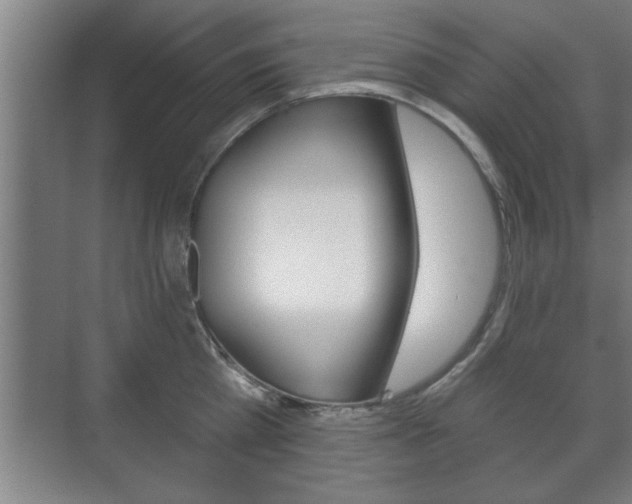 X0000072490809200607140909
