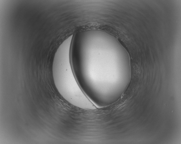 X0000072490818200607140908