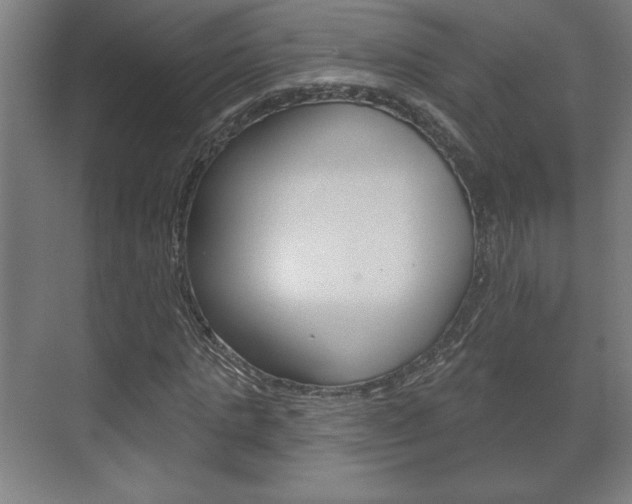 X0000072490821200607140908