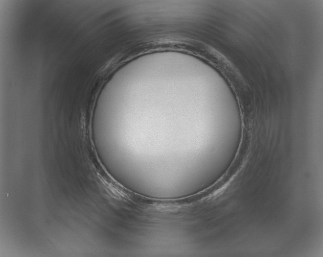 X0000072490825200607140908