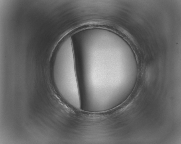 X0000072490829200607140908