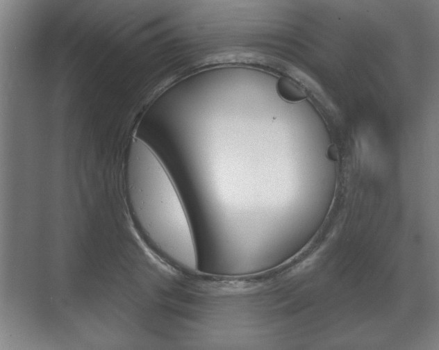 X0000072490841200607140908
