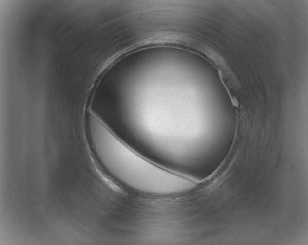 X0000072490842200607140908
