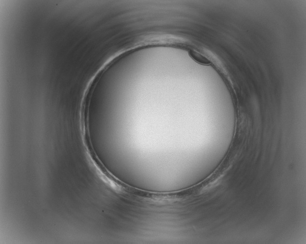 X0000072490843200607140908