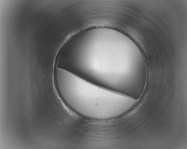 X0000072490845200607140908
