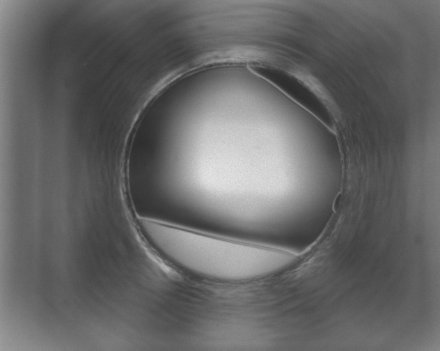 X0000072490850200607140908