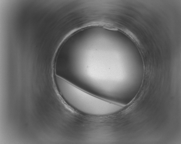 X0000072490854200607140908