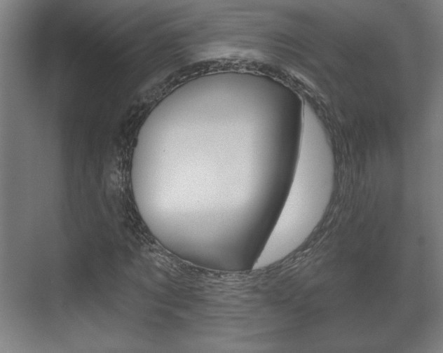 X0000072490869200607140908