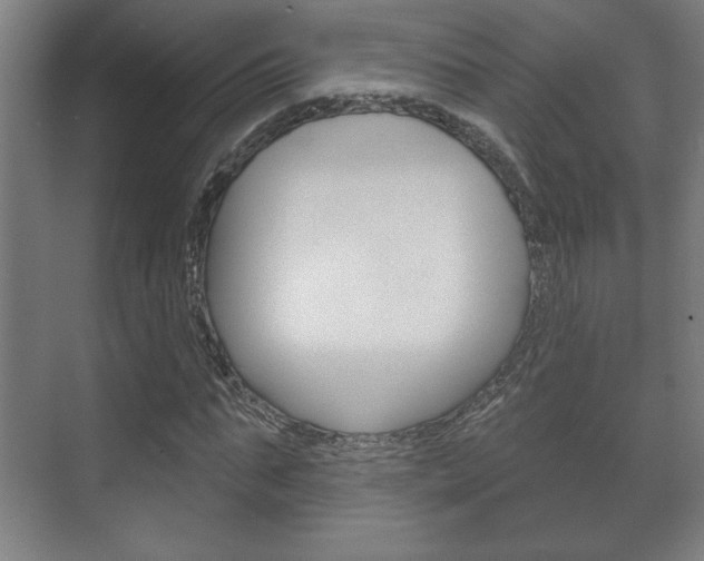 X0000072490871200607140908
