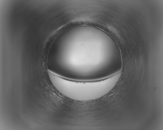 X0000072490872200607140908