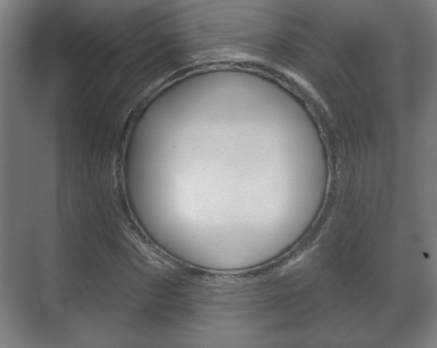 X0000072490873200607140908