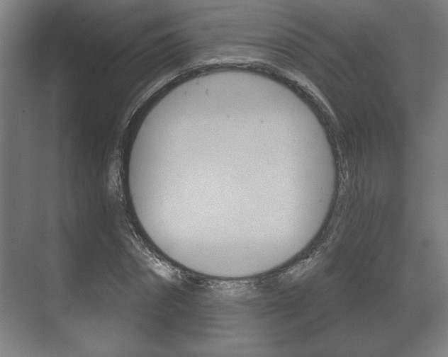 X0000072490874200607140908