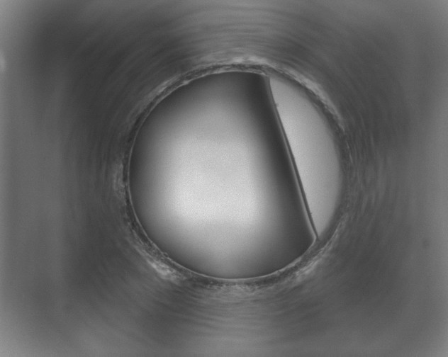 X0000072490881200607140908