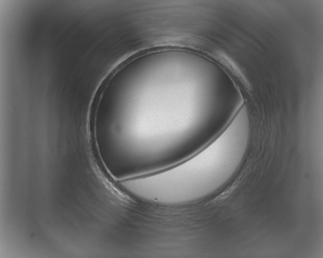 X0000072490884200607140908