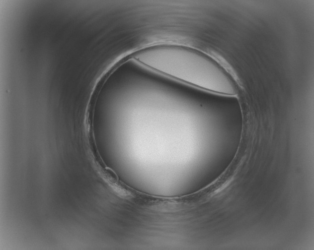 X0000072490885200607140908