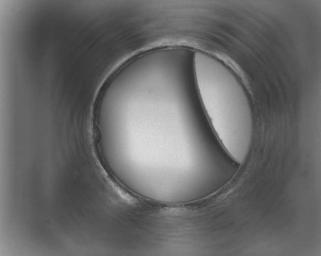 X0000072490894200607140907