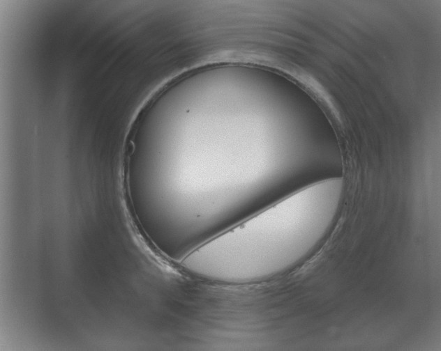 X0000072490896200607140907