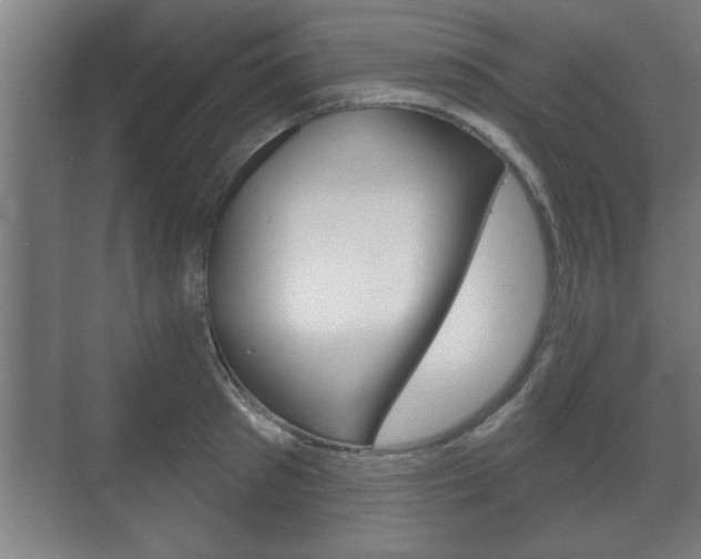 X0000072490897200607140907