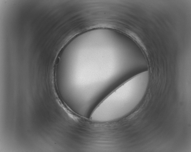 X0000072490898200607140907