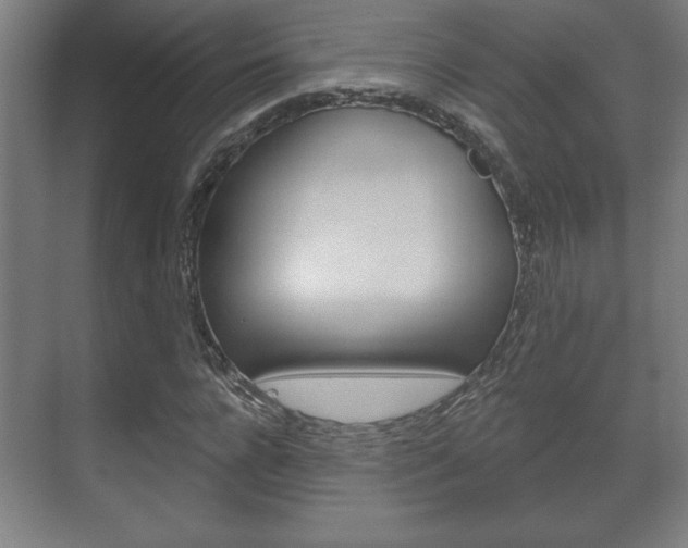 X0000072490920200607140906