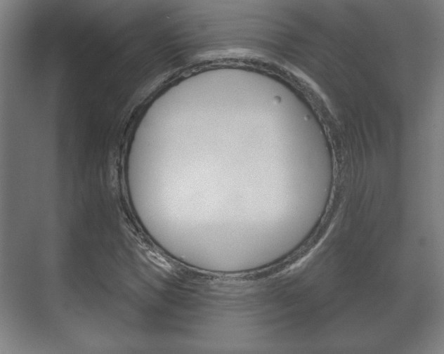 X0000072490921200607140906