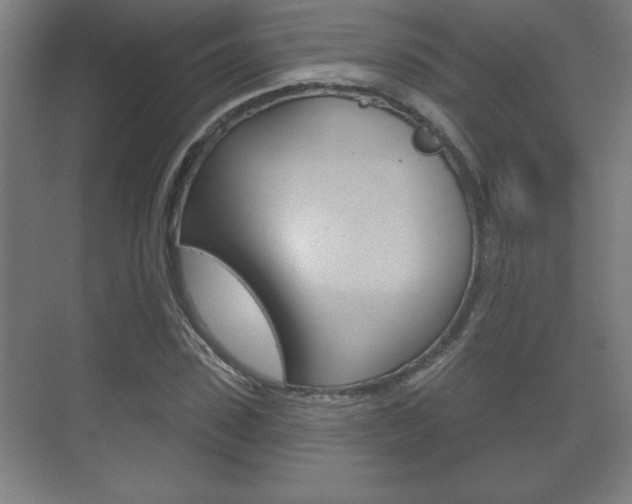 X0000072490923200607140906