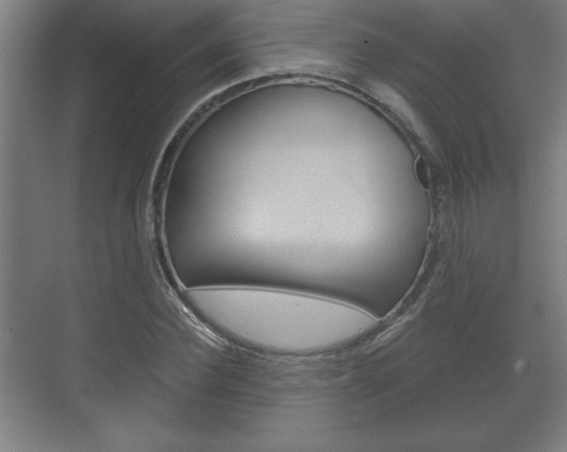 X0000072490924200607140906