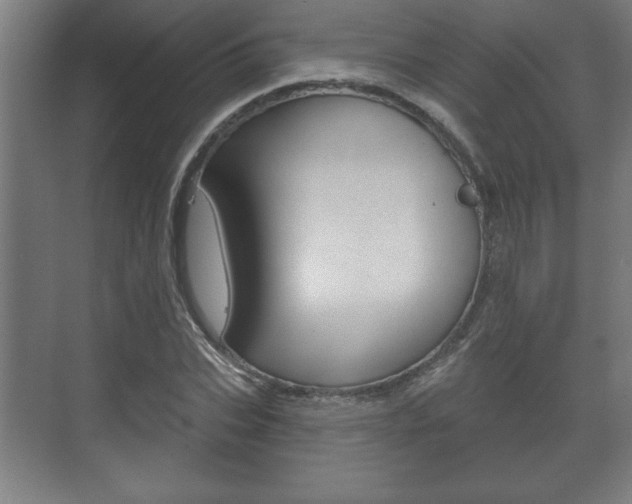 X0000072490927200607140906
