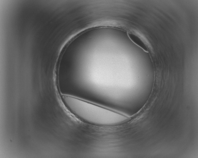 X0000072490944200607140907