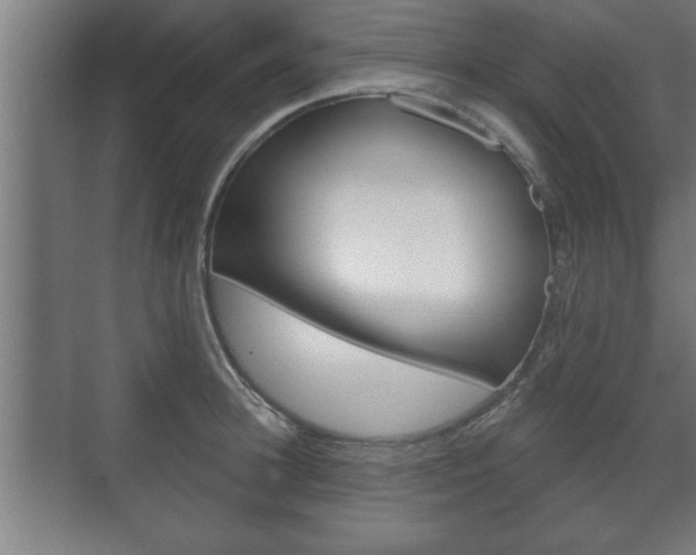 X0000072490948200607140907