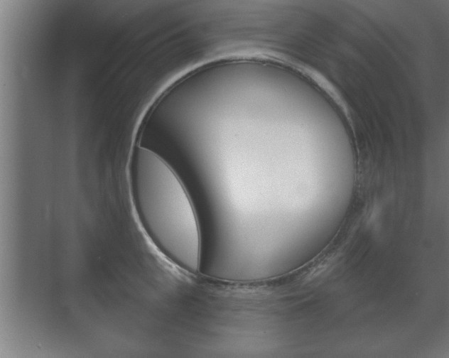 X0000072490951200607140907