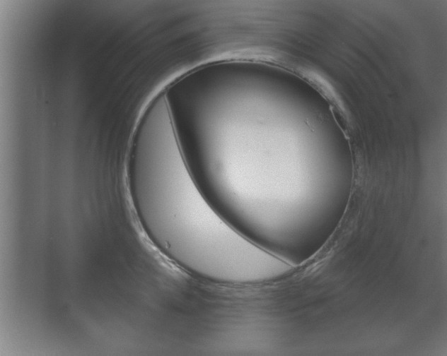 X0000072490952200607140907