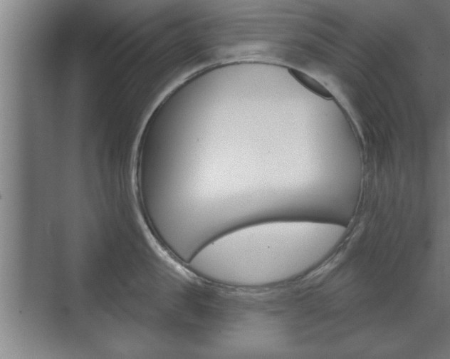 X0000072490957200607140907