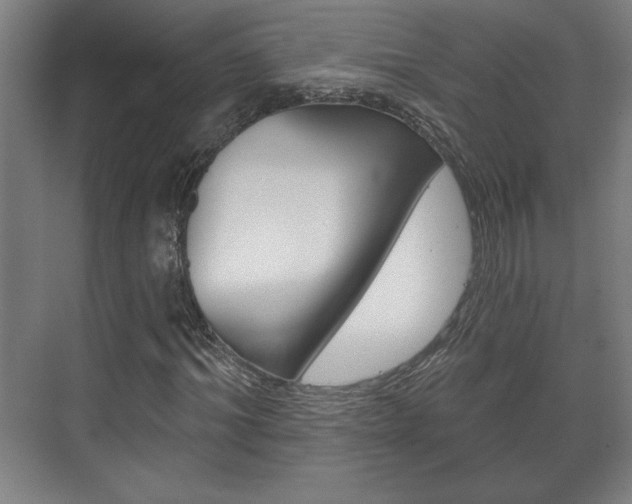 X0000072490964200607140906