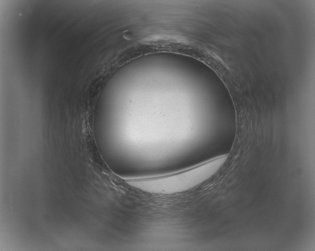 X0000072490965200607140906
